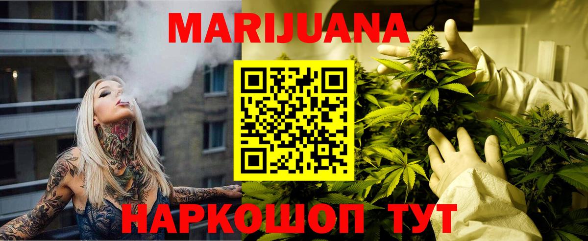 Конопля сатива Георгиевск